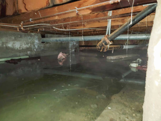 Best Fire Damage Restoration  in Churubusco, IN