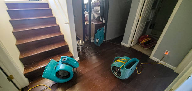 Best Mold removal after water damage  in Churubusco, IN