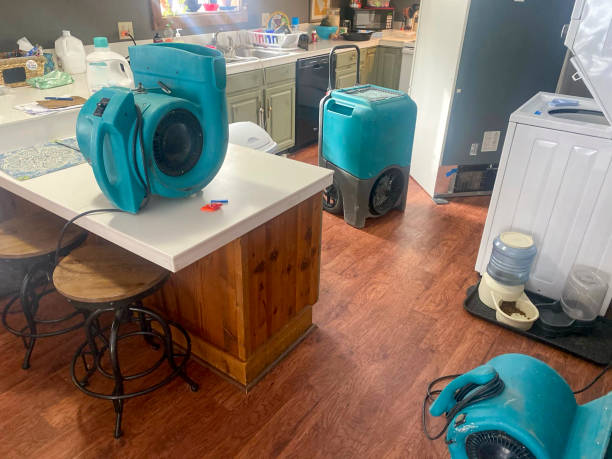 Best Commercial water damage restoration  in Churubusco, IN