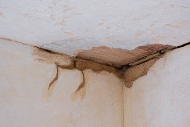 Best Sewage cleanup and water damage restoration  in Churubusco, IN