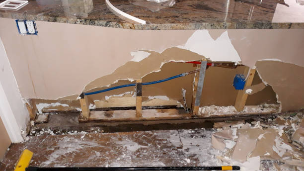 Best Water damage restoration insurance claims  in Churubusco, IN