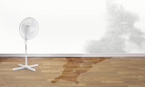 Best Flooded house restoration  in Churubusco, IN