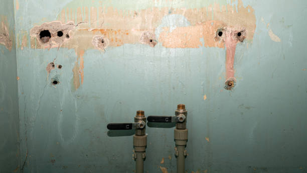 Best Basement water damage restoration  in Churubusco, IN