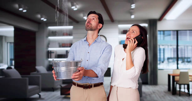 Best Mold removal after water damage  in Churubusco, IN