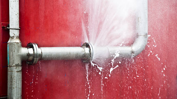 Best Local water damage restoration  in Churubusco, IN